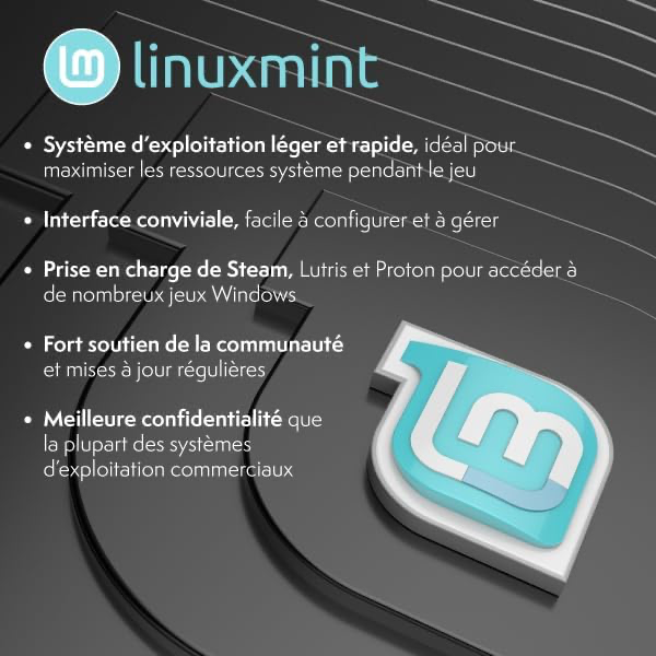 VIBOX VI-215 PC Gamer • AMD Ryzen 3 3200G 4,0 GHz • Radeon Vega 8 • 8 Go RAM • 480Go SSD • Linux OS • WiFi