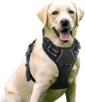 Harnais Chien Anti Traction, Arnet pour Chiens avec Poignée Contrôl, Facile à Mettre, Gilet Réfléchissant Réglable avec Attache Devant