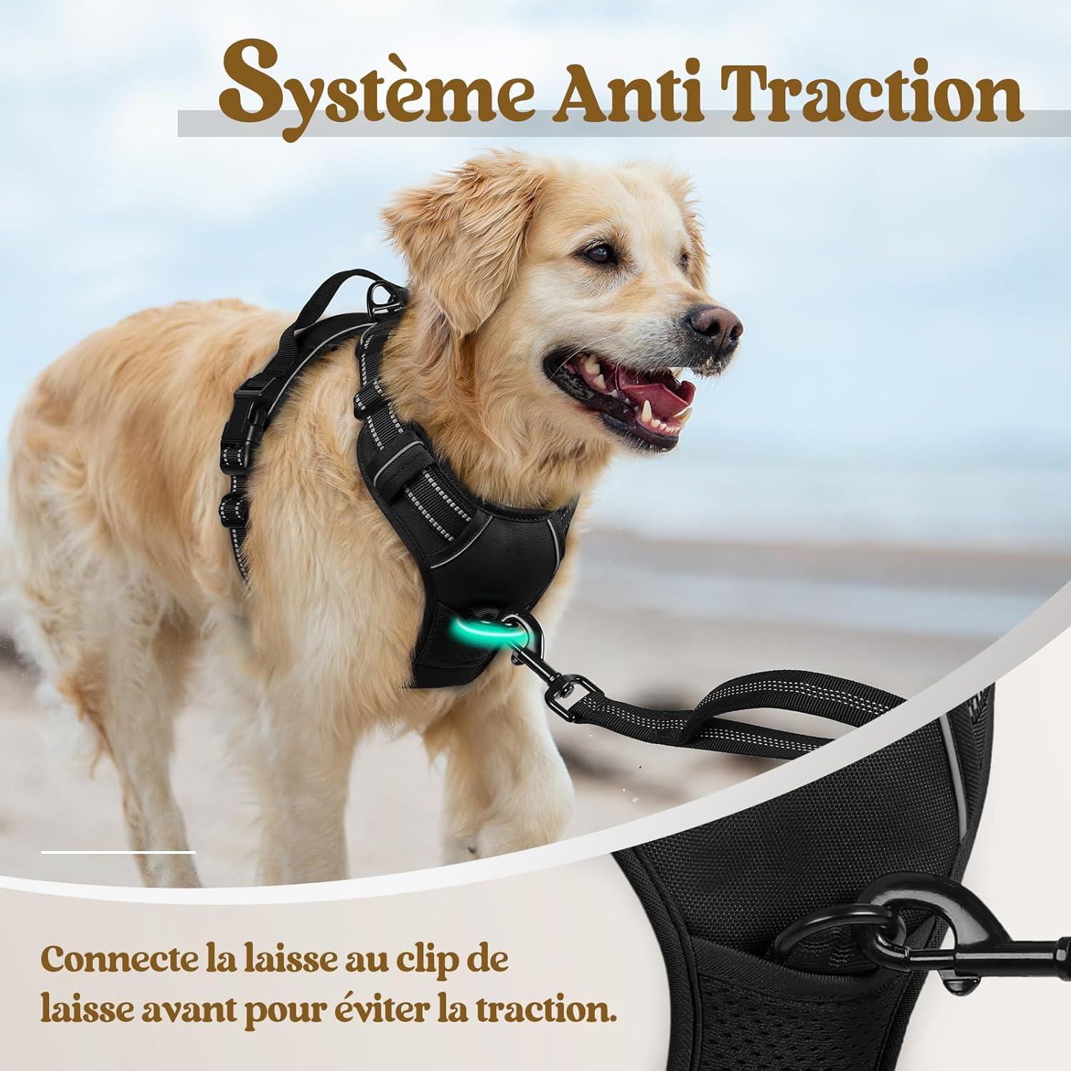 Harnais Chien Anti Traction, Arnet pour Chiens avec Poignée Contrôl, Facile à Mettre, Gilet Réfléchissant Réglable avec Attache Devant