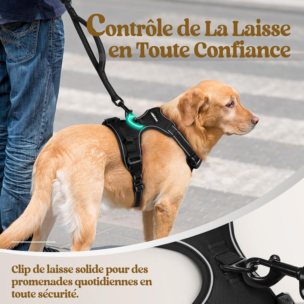 Harnais Chien Anti Traction, Arnet pour Chiens avec Poignée Contrôl, Facile à Mettre, Gilet Réfléchissant Réglable avec Attache Devant