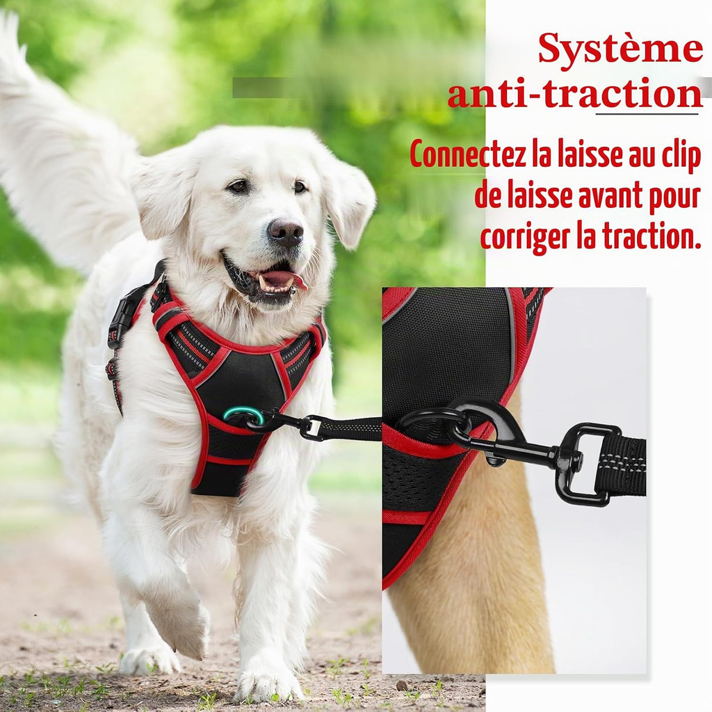 Harnais Chien Anti Traction, Arnet pour Chiens avec Poignée Contrôl, Facile à Mettre, Gilet Réfléchissant Réglable avec Attache Devant