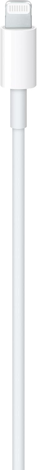 Apple Câble USB-C vers Lightning (1 m)